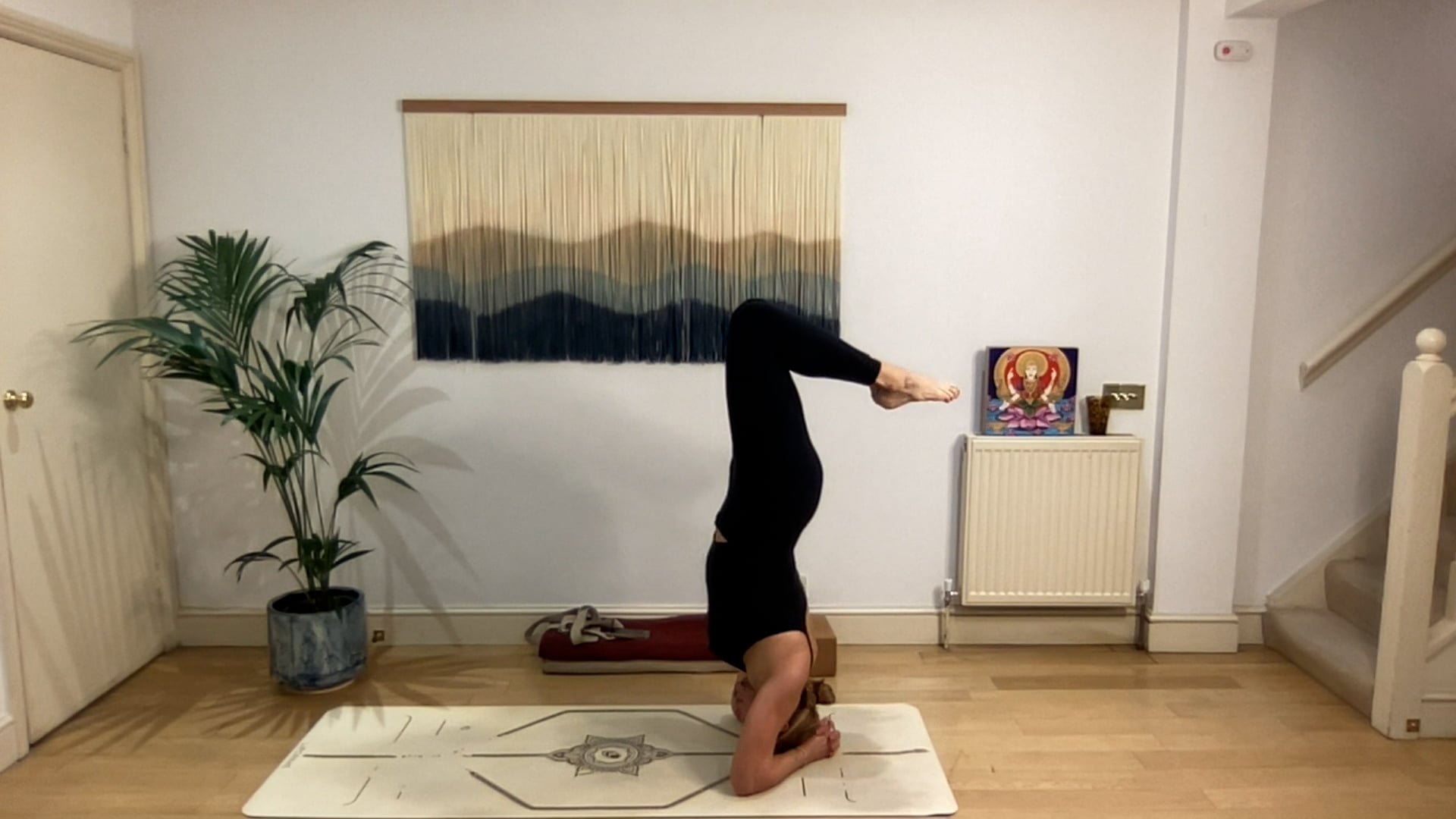 75 min Vinyasa Flow level 2/3 w/ Mia - Trust Your Gut - 4/24/2025