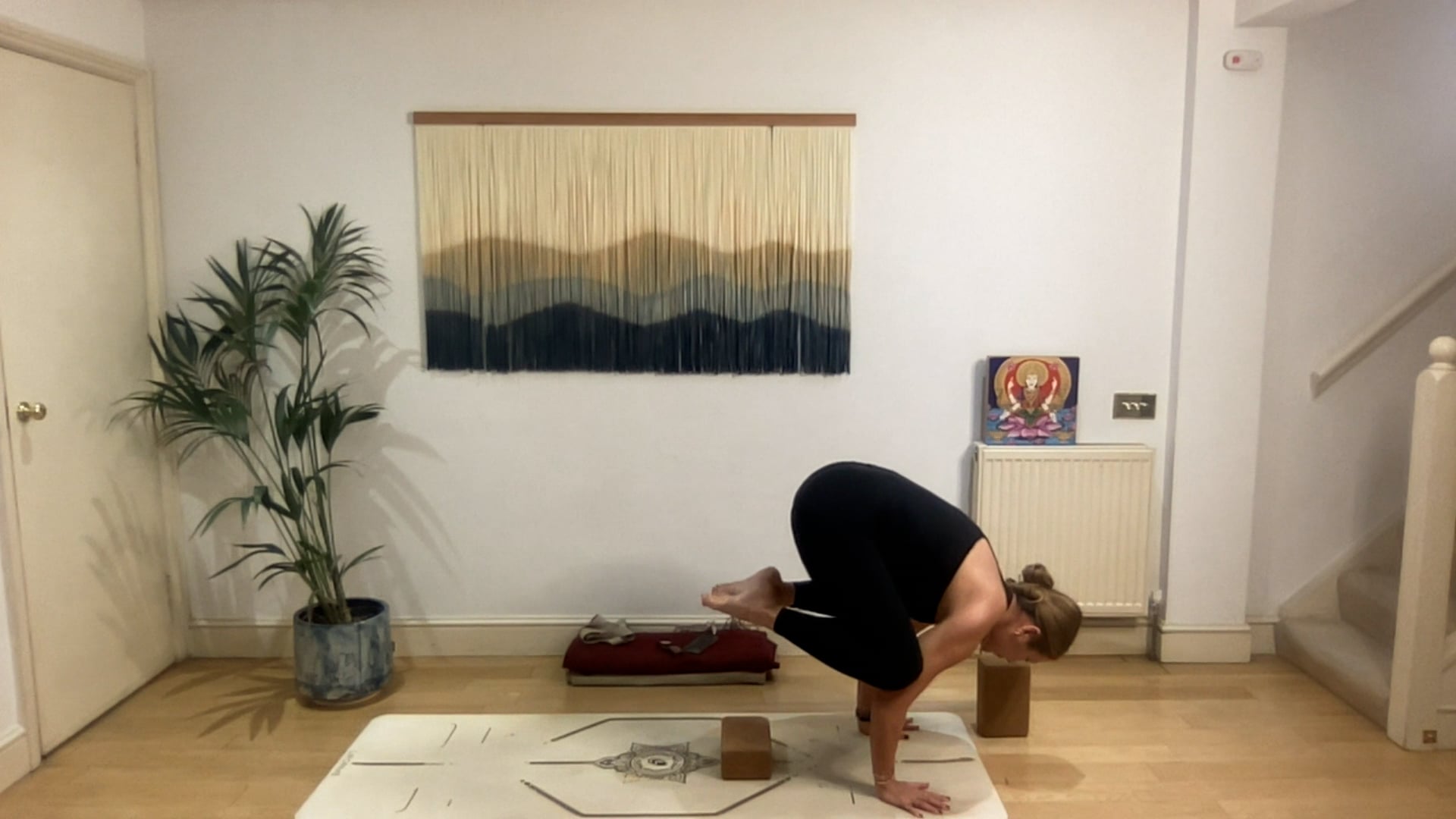 60 min Creative Crow Vinyasa Flow Level 2/3: Mia