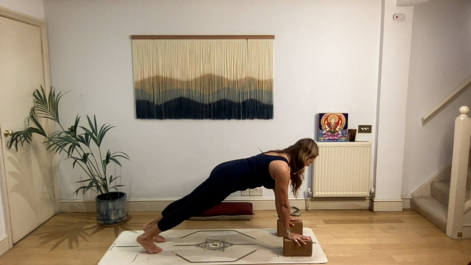 60 min Elevate and Energize Vinyasa Level 2/3: Mia