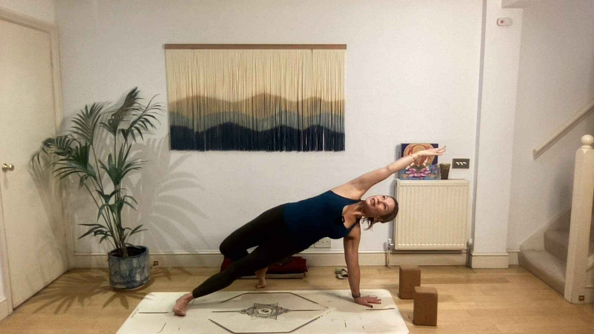 60 min Wild & Free Vinyasa Level 2/3: Mia