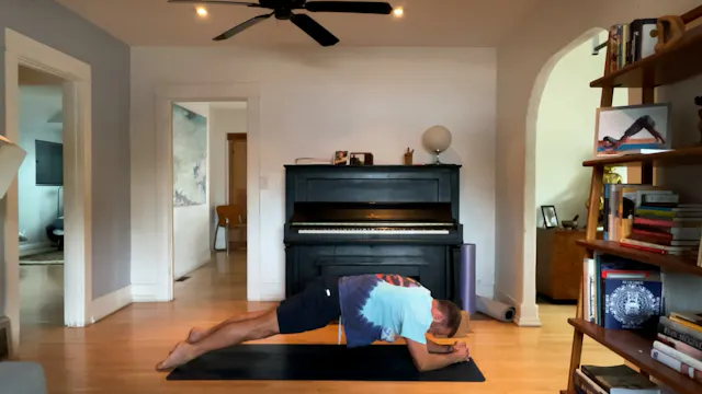 60 min Vinyasa 2 w/ Vytas - Hollow Co...