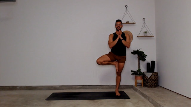 45 min Vinyasa Flow 2-3 w/ Gustavo - Strong & Grounded - 5/15/2023