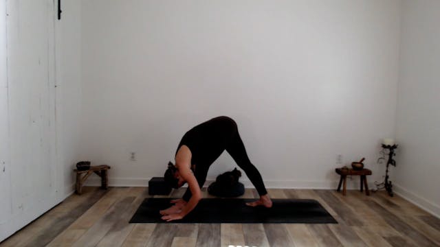 60 min Vinyasa Flow w/ Ashley - Prese...