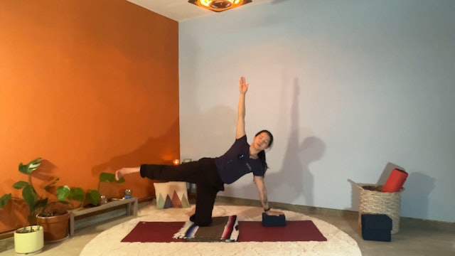 45 min Hatha Yoga 1-2 w/ Elena – Plank is Fun, Promise 2/28/24