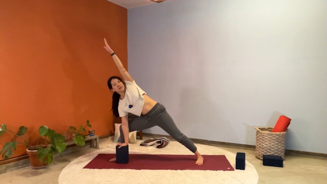 45 min Hatha Yoga 1-2 w/ Elena – (the Miami) Dolphin(s) Time 12/15/23