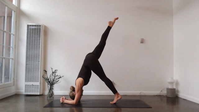 60 Min Yogaworks w/ Ashley – Movement as Medicine 02/09/2024