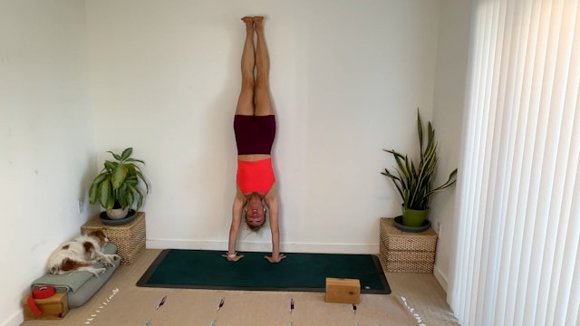 60 min YogaWorks 2 w/Maya – Well Rounded Flow to Handstand – 5/01/23