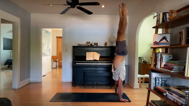 45 min Vinyasa 2 w/ Vytas - Hanging O...