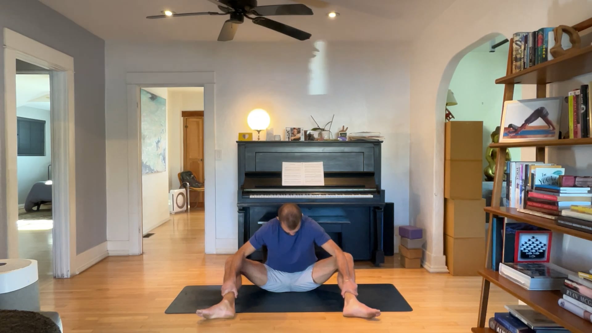 45 min Mobile & Meditative Vinyasa 2 : Vytas