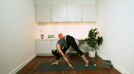 Fierce Bird Flow (60 min) - with Sasha Smith