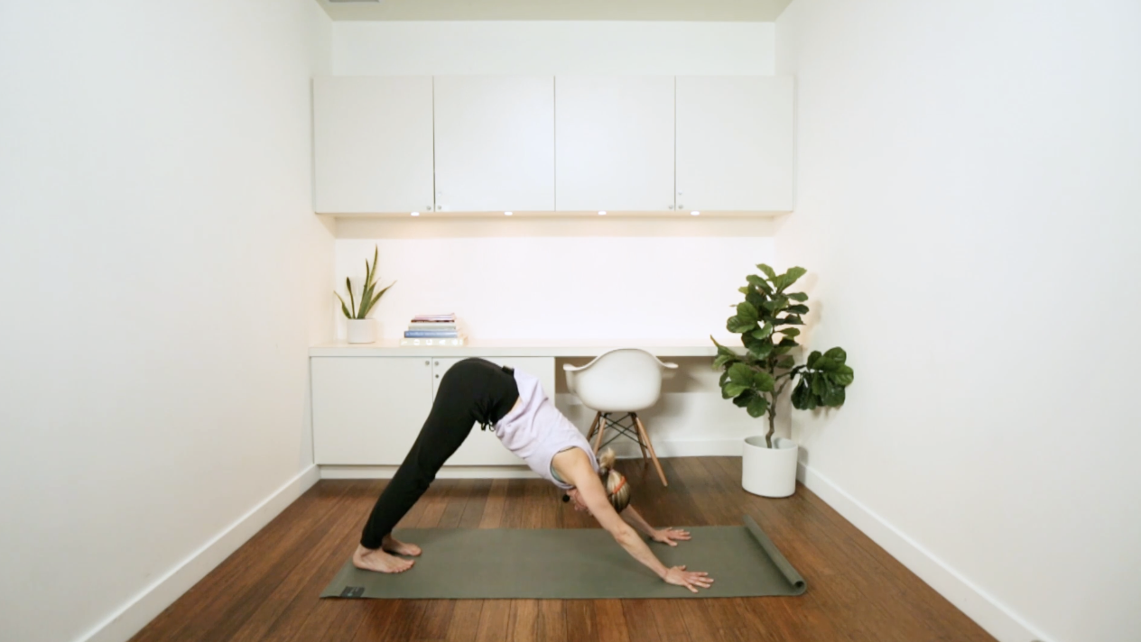 Powerful Vinyasa (60 min) - with Jayme Burke