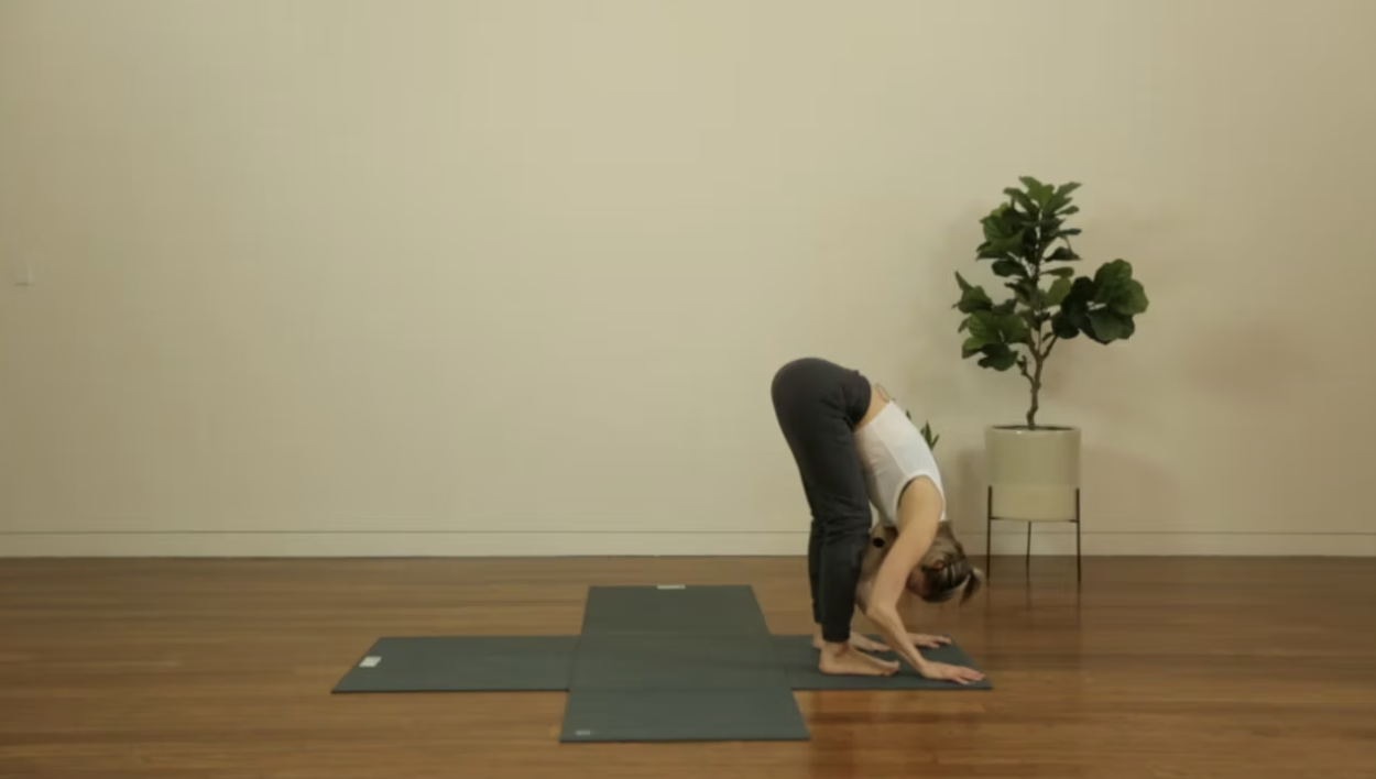 Live Replay: Morning Hatha for Connection (60 min) - with Jayme Burke