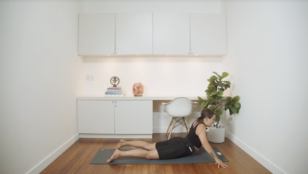 Morning Practice for Beginners (30 Min) - with Kyra Morrison