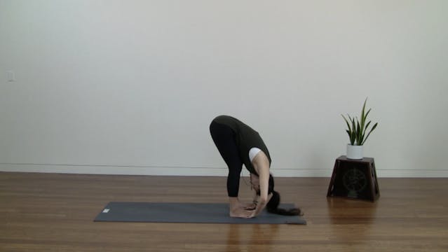 Live Replay: Dynamic Flow (60 min) - ...