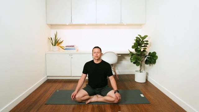 Meditation of the Breath (15 min) - with Miguel Lopez de Lara