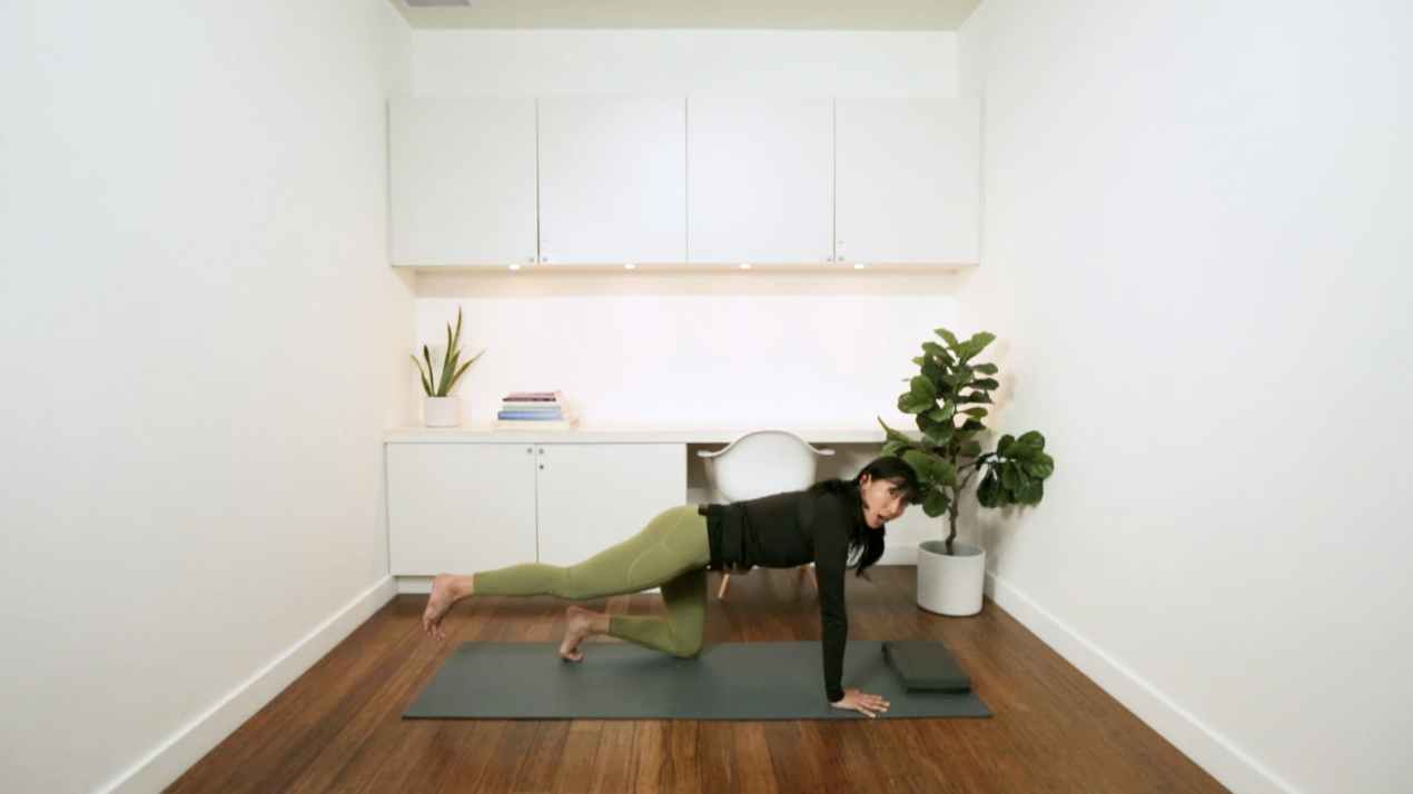 Pre-natal Safe Core Exercises (8 min) - with Carine Young