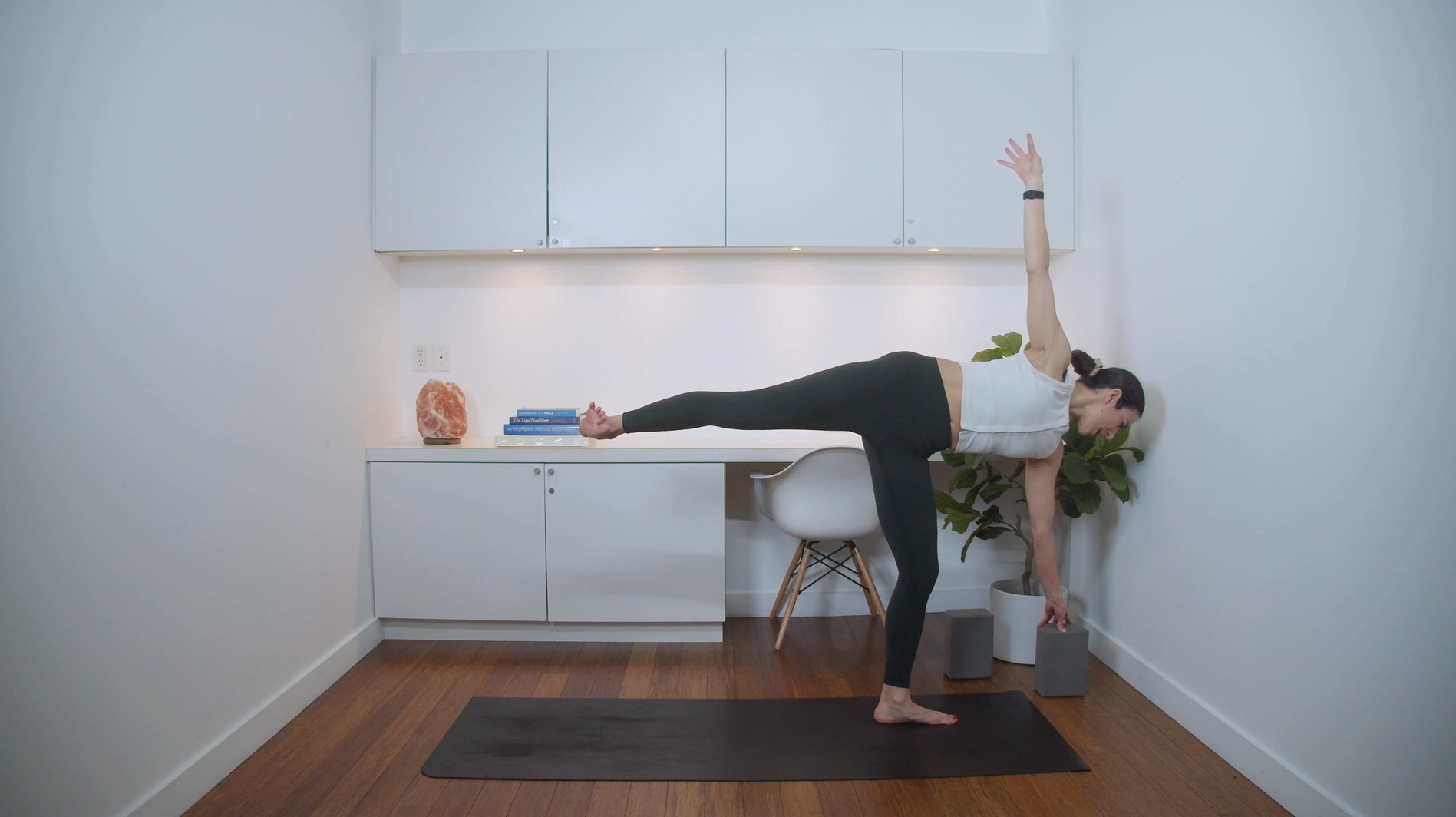 Power Yoga for Better Balance (30 min) - with Samaneh Asgharzadeh