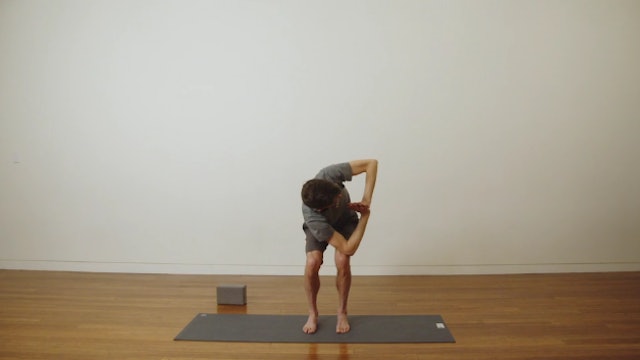 Beginner Yoga: Intro to Twists and Backbends (40 min) - with Stephen Ewashkiw
