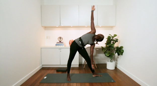 Mindful Hatha (60 min) - with Araba Adjaye