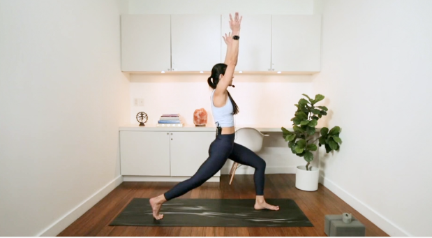 Quick Morning Flow (25 min) - with Samaneh Asgharzadeh