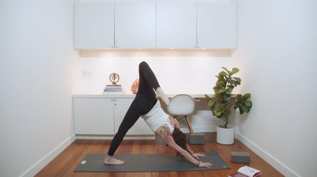 Power Yoga for Stability (60 min) - with Deb Cehak (Purcell)