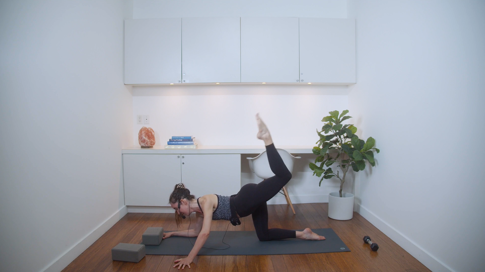 Full Body YSculpt (45 min) - with Alison Klektau