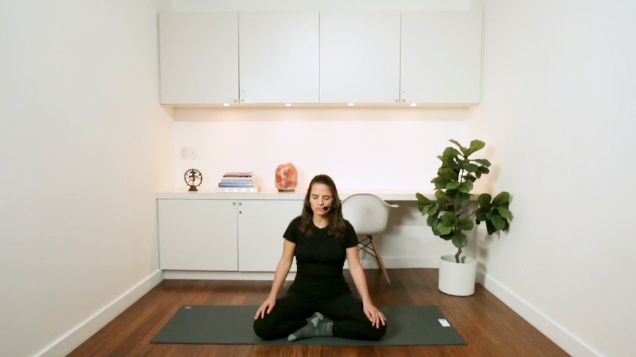 Gratitude Meditation (13 min) - with Eliza Butler