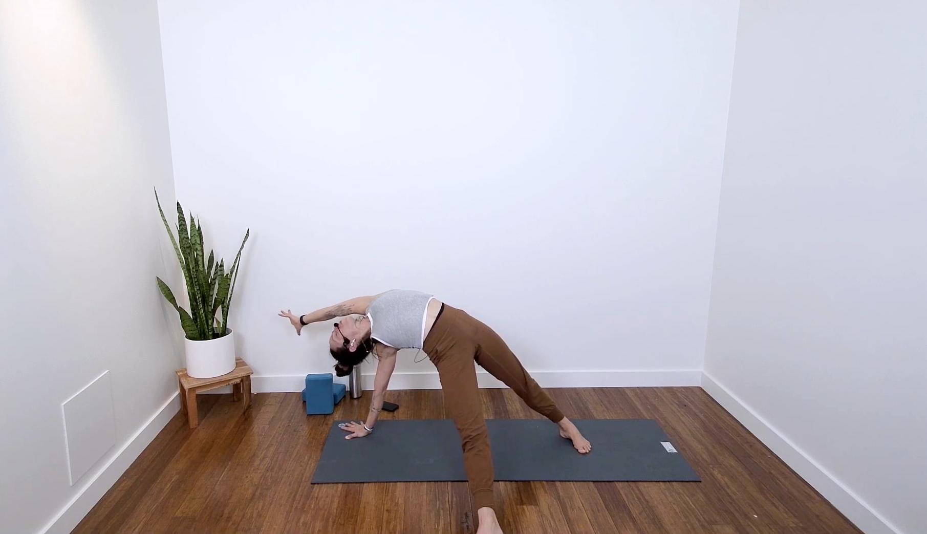 Live Replay: Grounding Power (60 min) with Mari Dickey