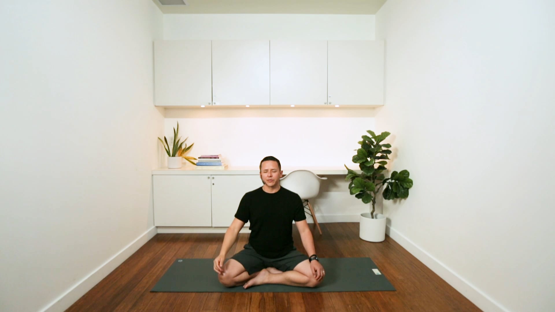 Meditation to Infuse the Mind with Light (17 min) - with Miguel Lopez de Lara