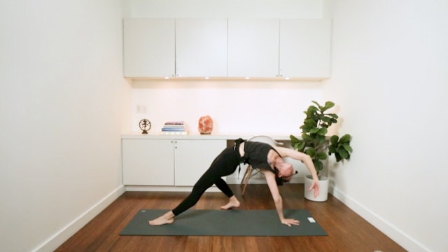 Twisting Yoga Flow (45 min) - with Alison Klektau