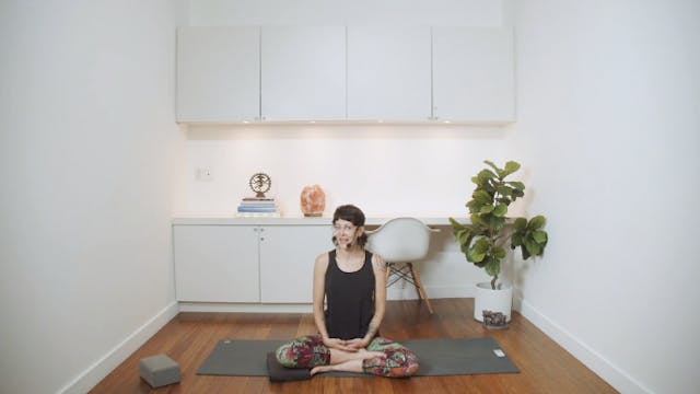 Gratitude Meditation (10 min) - with ...
