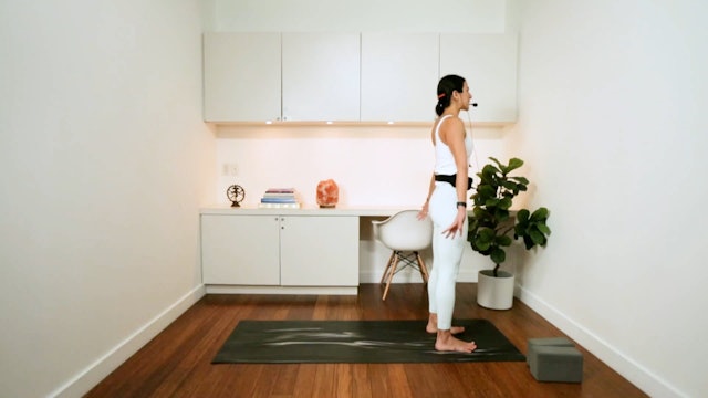 Vinyasa Flow Yoga (40 min) - with Samaneh Asgharzadeh