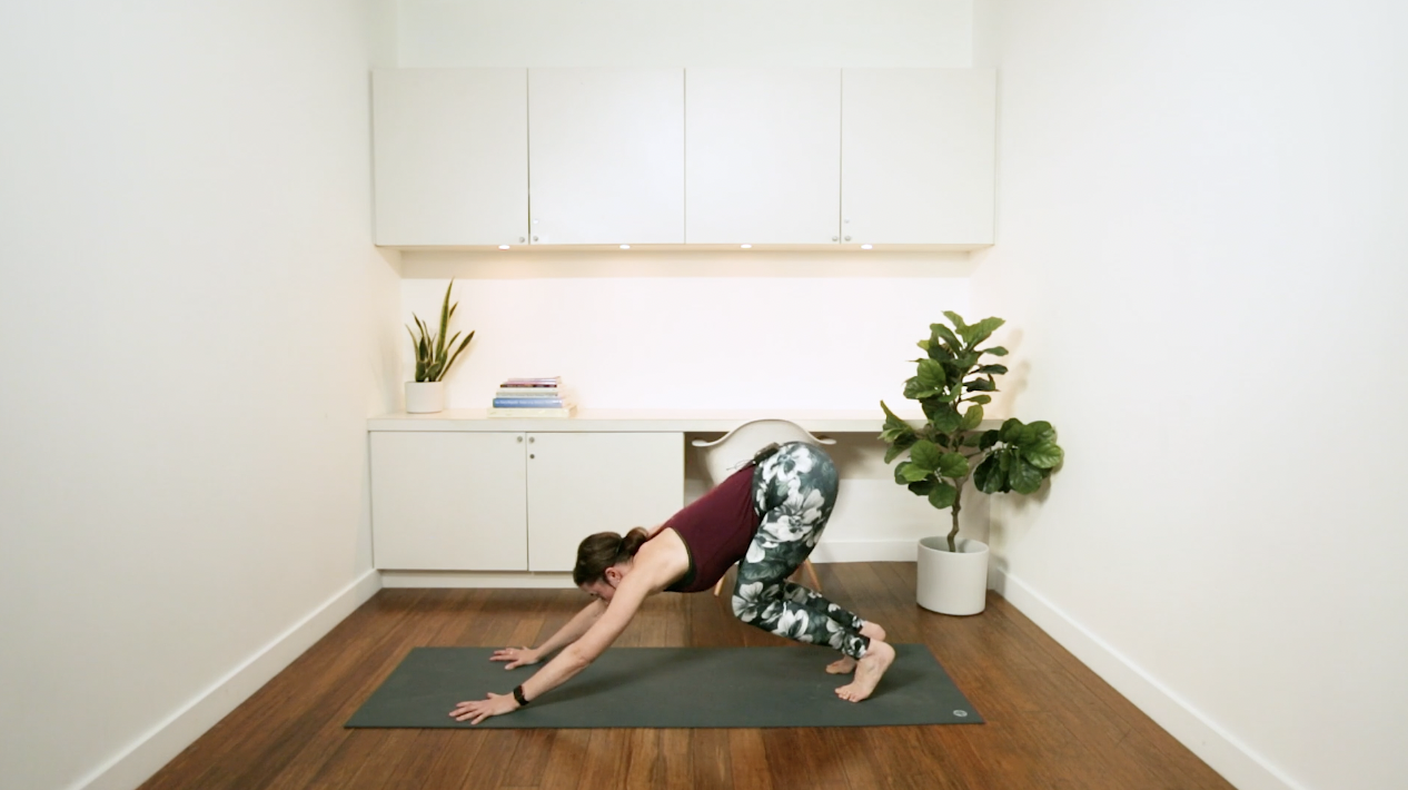Tutorial: Jumping Forward from Downward Facing Dog (5 min) — with Rachel Scott