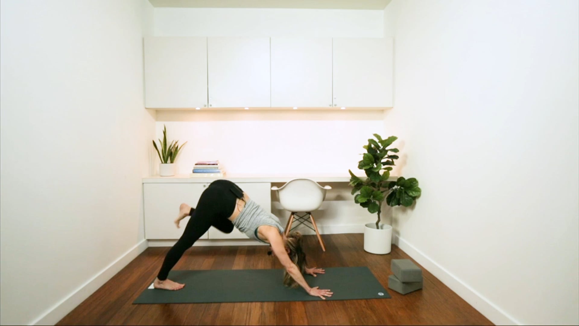 Dynamic Power (55 min) - with Jayme Burke