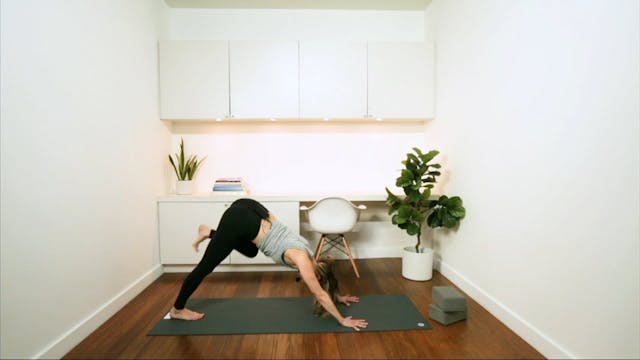 Dynamic Power (55 min) - with Jayme B...