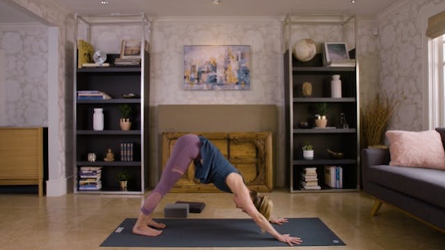 Flow Yoga (40 min) — with Jayme Burke