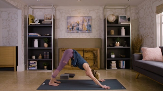 Flow Yoga (40 min) — with Jayme Burke