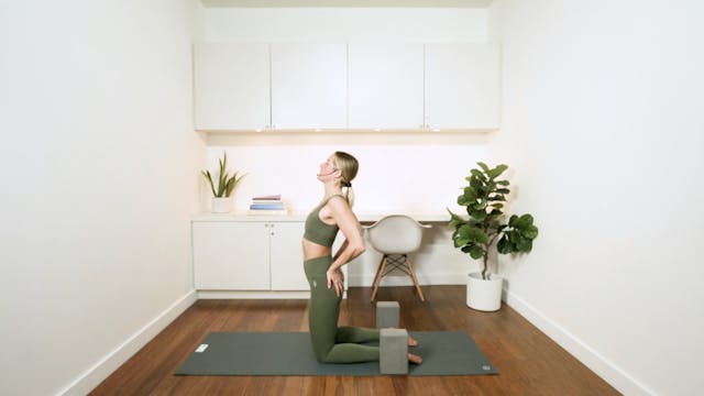 Tutorial: Camel Pose (7 min) - with M...