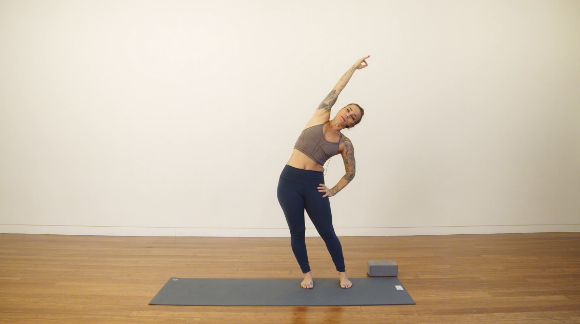 Strong Hatha Yoga with Mantra: Dharana (55 min) - with Crystal Rainbow Borrelli