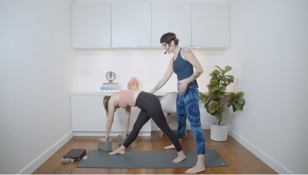 Tranquil Transitions Hatha (40 min) - with Sasha Smith