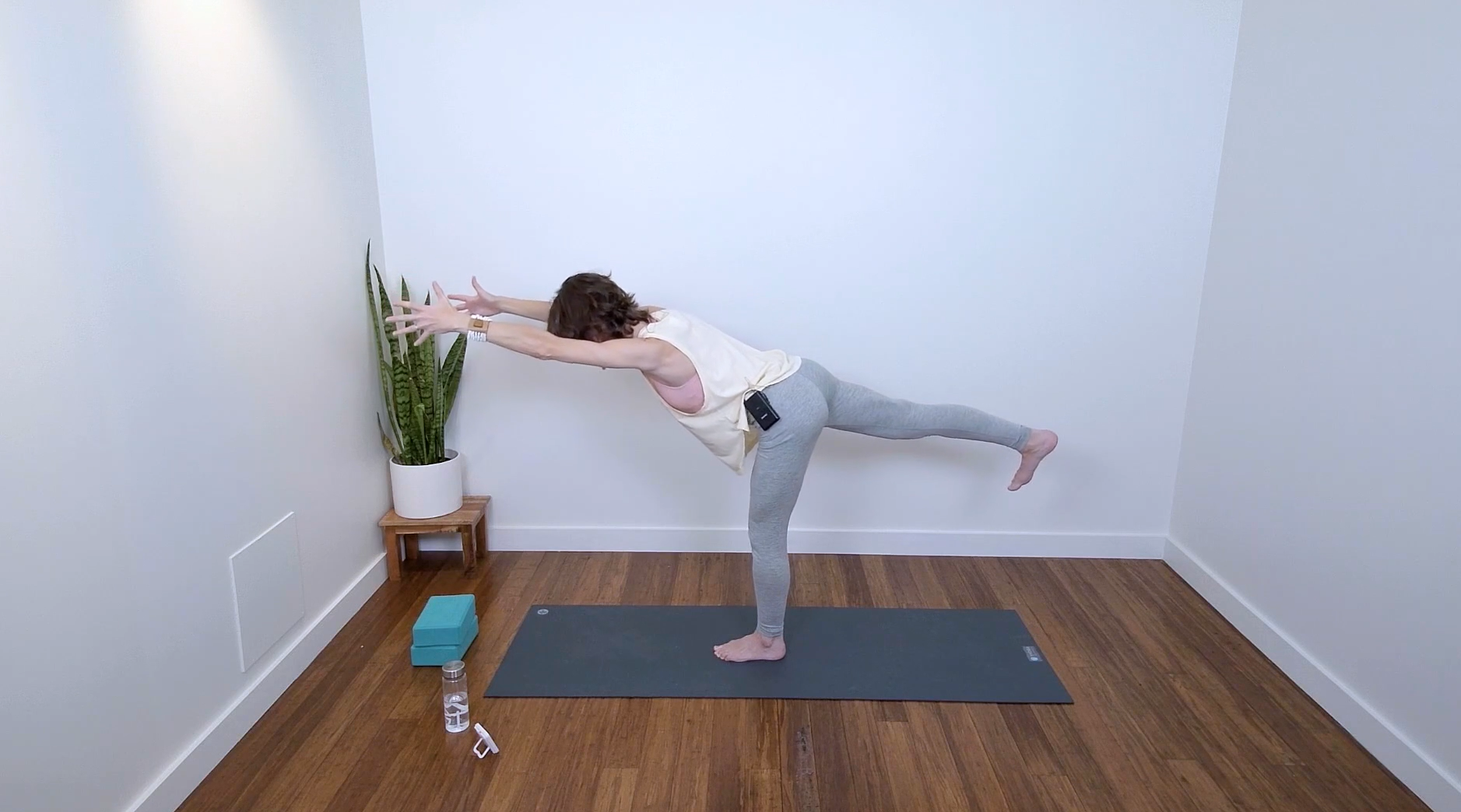 Live Replay: Hatha for Greater Stability (60 min) - with Rebecca Lee Henderson