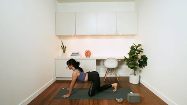 Power Vinyasa Flow (60 min) - with Ka...