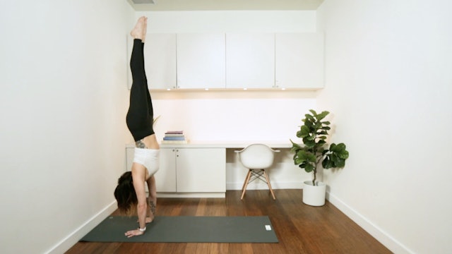 Wall Inversion Prep: Handstands (20 min) - with Vanessa Bourget