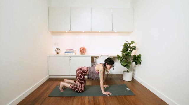 Take it Easy Flow (40 min) - with Sas...