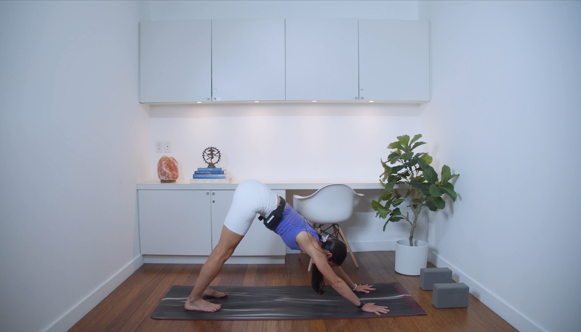 Beginner Friendly Power (35 min) - with Samaneh Asgharzadeh