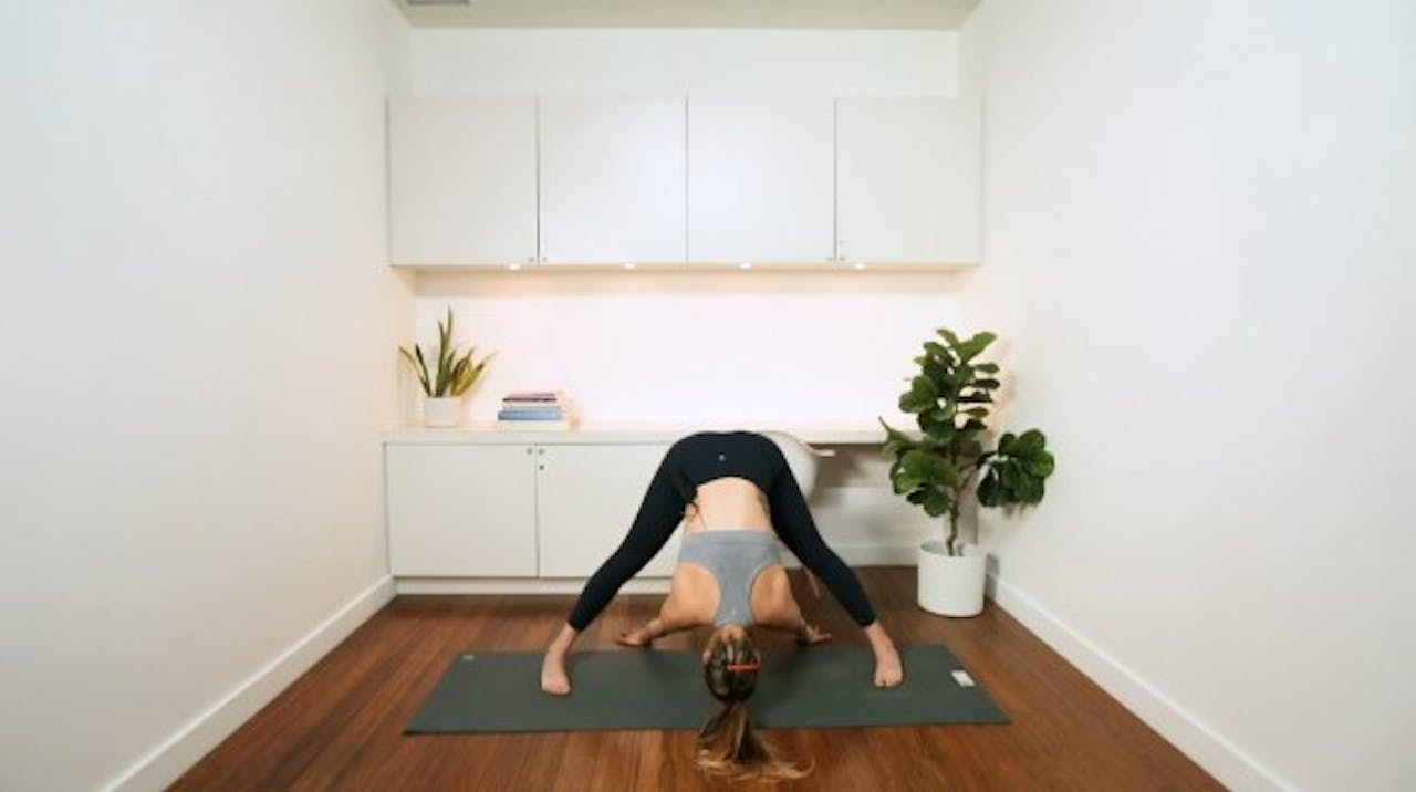 Flow State (60 min) with Vanessa Bourget Vanessa Bourget YYOGA at