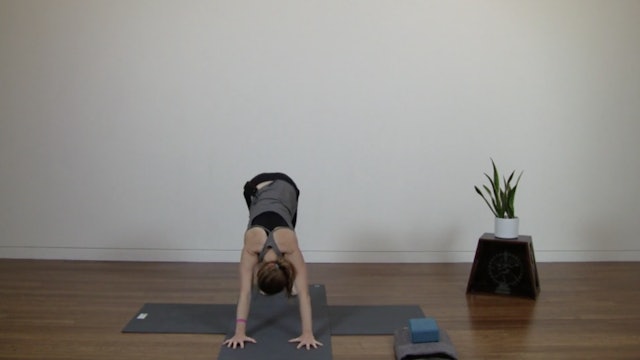 Live Replay: Power Yoga (75 min) - with Aili Storen