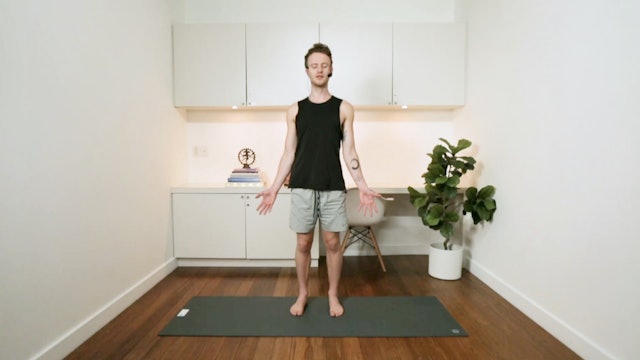 Blissful Afternoon Flow (30 min) - with Connor Roff