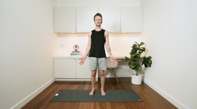 Blissful Afternoon Flow (30 min) - with Connor Roff
