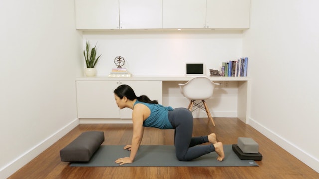 Flow Yoga: Pre-Natal Ab and Arm Routine (10 min) — with Quyhn Mi